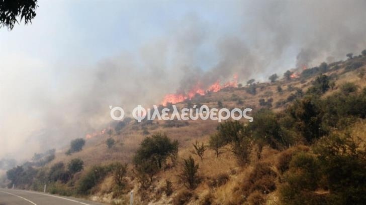 В ликвидации сильнейшего пожара недалеко от Лимассола задействован весь Кипр (Обновлено): фото 2