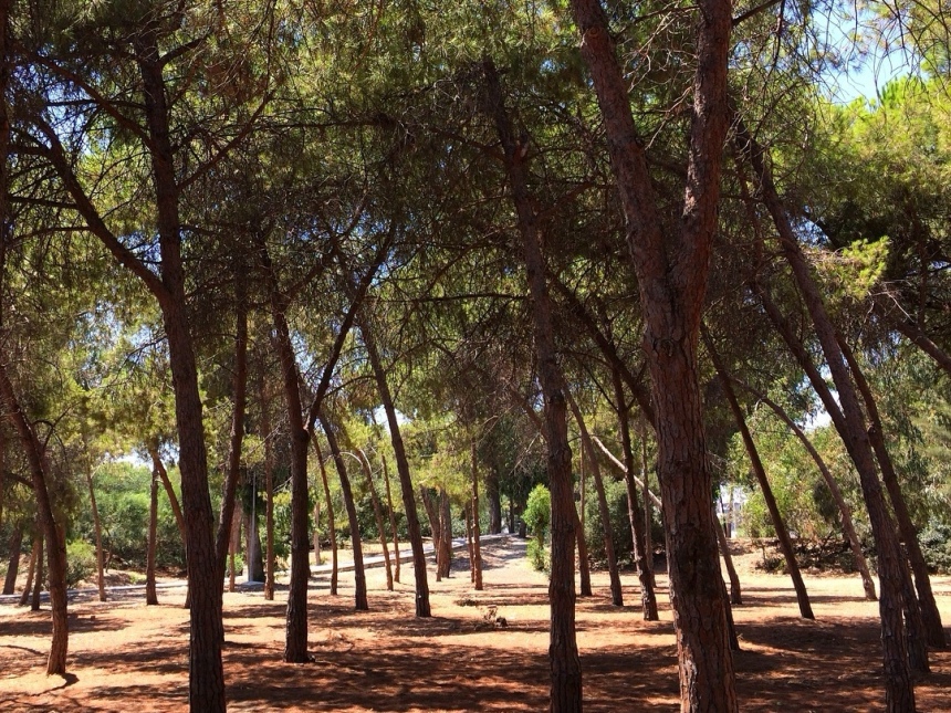 10 способов спасения от изнуряющей жары на Кипре: фото 2