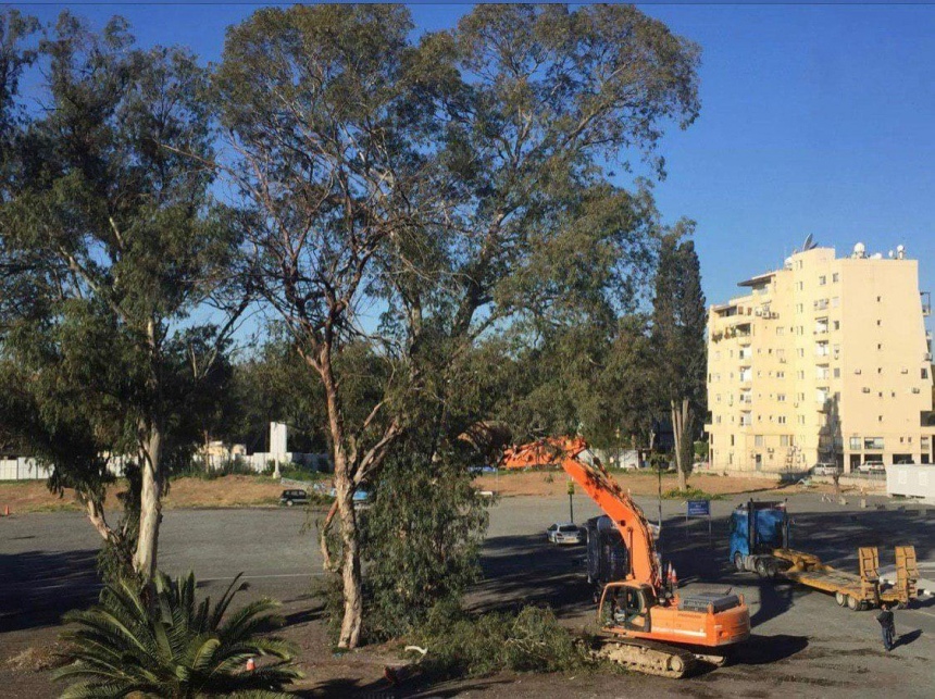 Строительство новой высотки в Лимассоле началось с вырубки оливковой рощи (Фото): фото 3