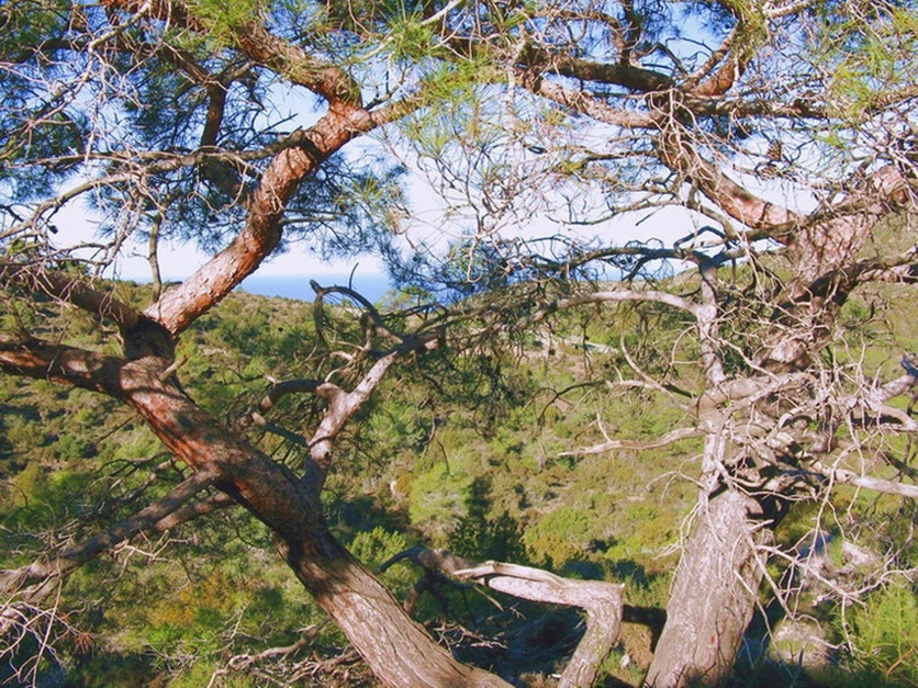 Природная тропа Смигиес, Кипр.