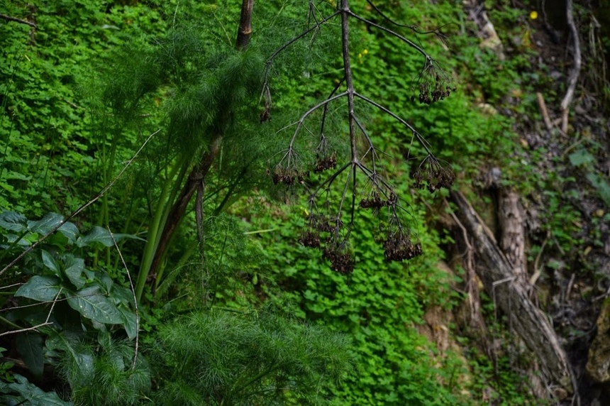 Путешествие по традиционным деревушкам Кипра. Хулу и секретный водопад. Часть 3: фото 96