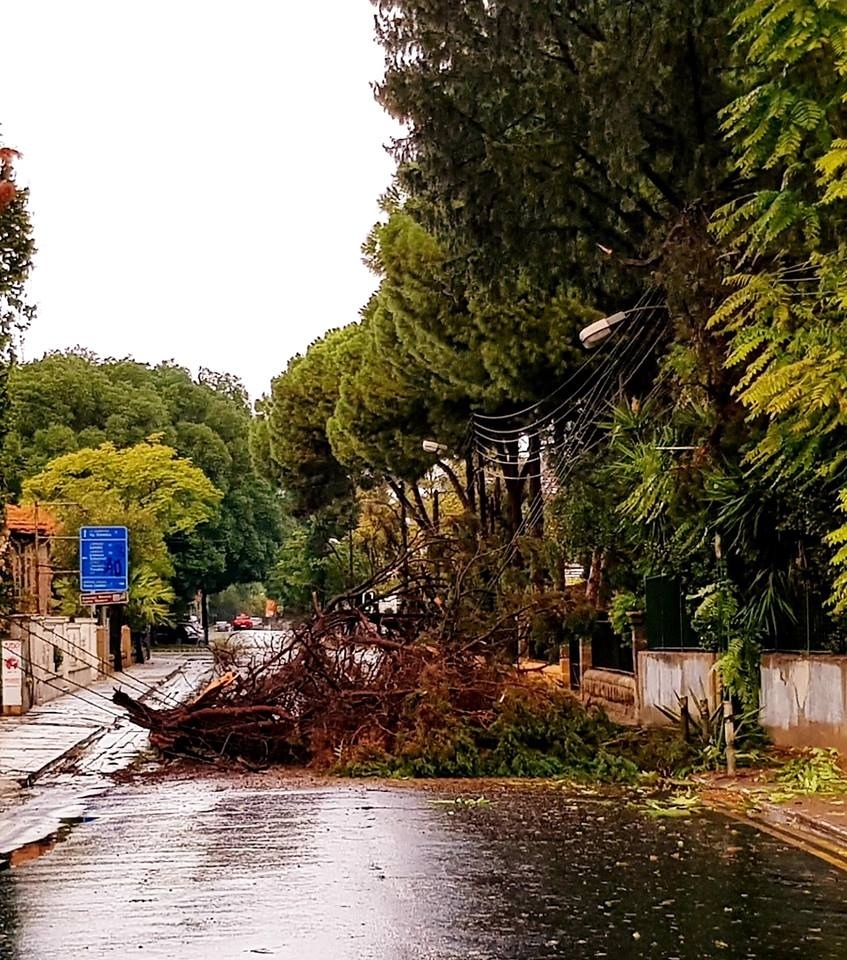 На Никосию обрушился ливень с градом, а в Лимассоле прошел долгожданный дождь: фото 4