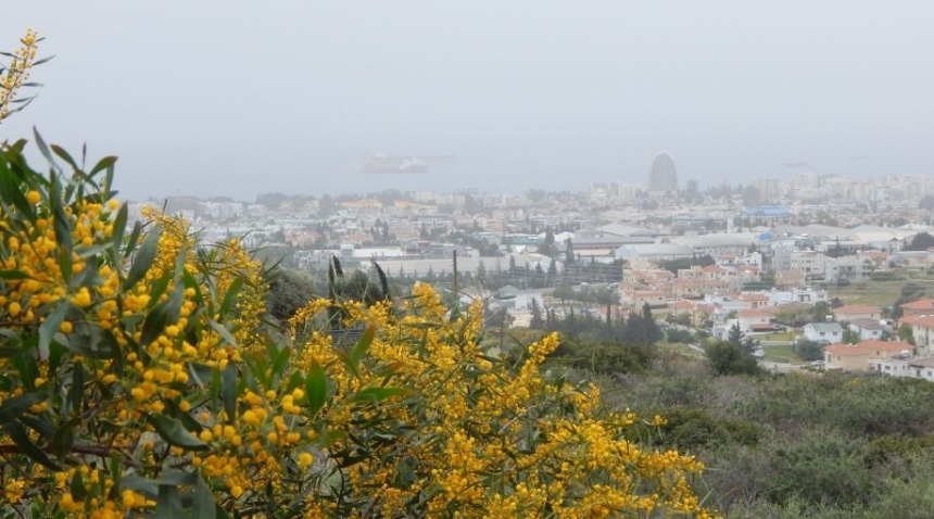 Аномальная жара: на Кипр надвигается пыль из Северной Африки: фото 3