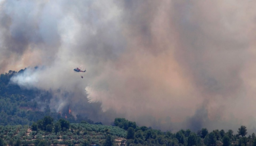 Сотрудникам МЧС удалось частично взять под контроль крупнейший пожар недалеко от Лимассола: фото 2