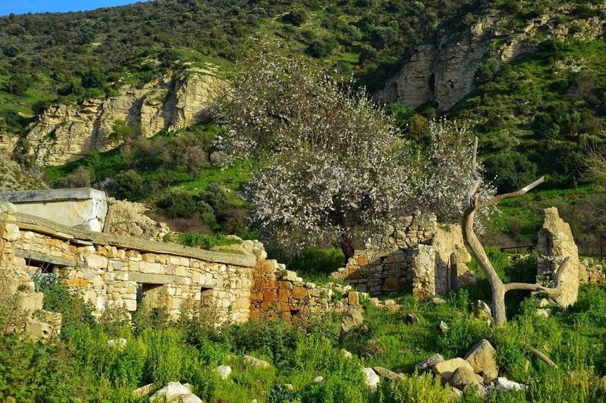 Сускью. Покинутый мир Кипра. Часть 8: фото 86