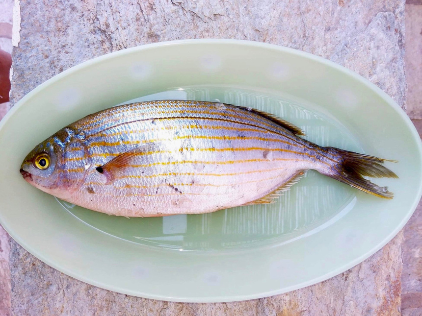 На Кипре есть все! Рыба с галлюциногенным сюрпризом. : фото 3