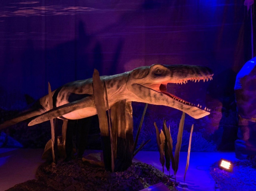 «Динозавры океана» добрались в Никосию! А вы уже их видели?: фото 7