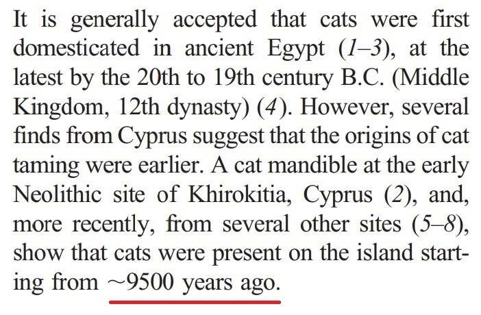 Первые коты появились на Кипре? Давайте навсегда забудем эту байку: фото 10