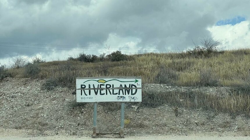 На биоферме Riverland на Кипре прошел Весенний фестиваль: фото 2 На биоферме Riverland на Кипре прошел Весенний фестиваль: фото 2