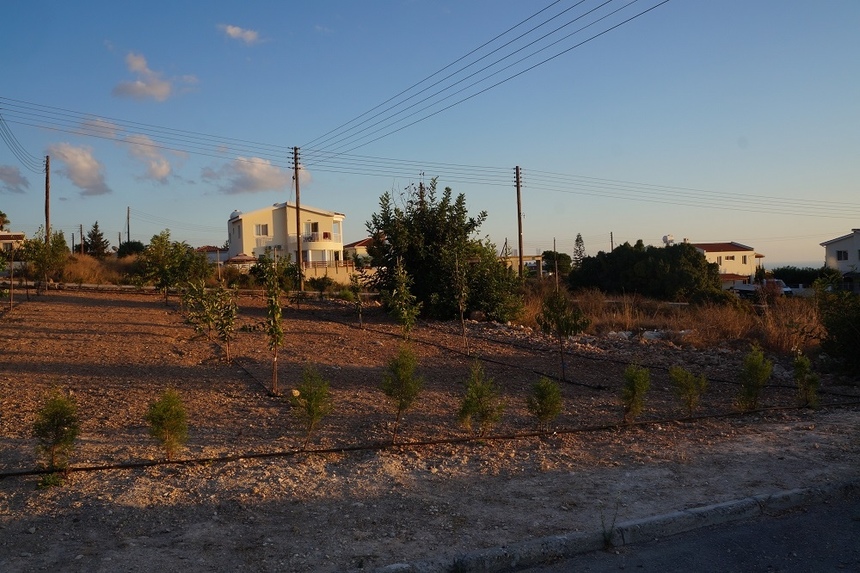 Почему иностранцы выбирают кипрскую Талу? : фото 27