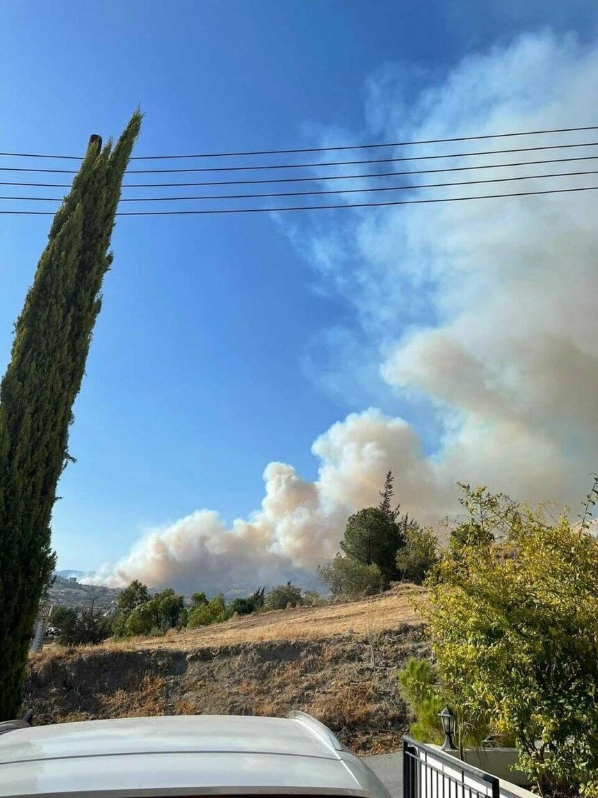 На Кипре бушует сильный пожар: фото 4