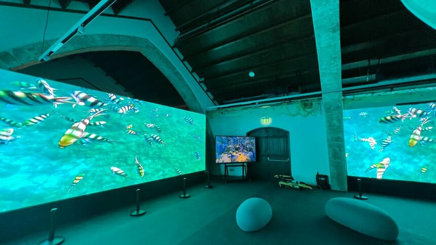 Новый Музей моря и культуры в Лачи: фото 5