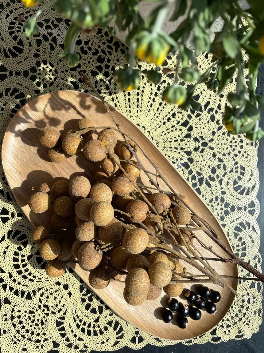 Экзотический фрукт Кипра — лонган: фото 6