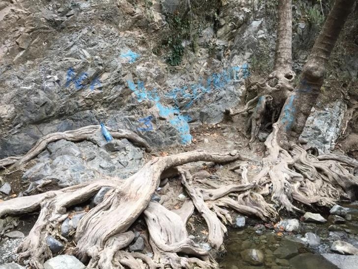Неизвестные  хулиганы совершили акт вандализма у водопада Милломерис: фото 3