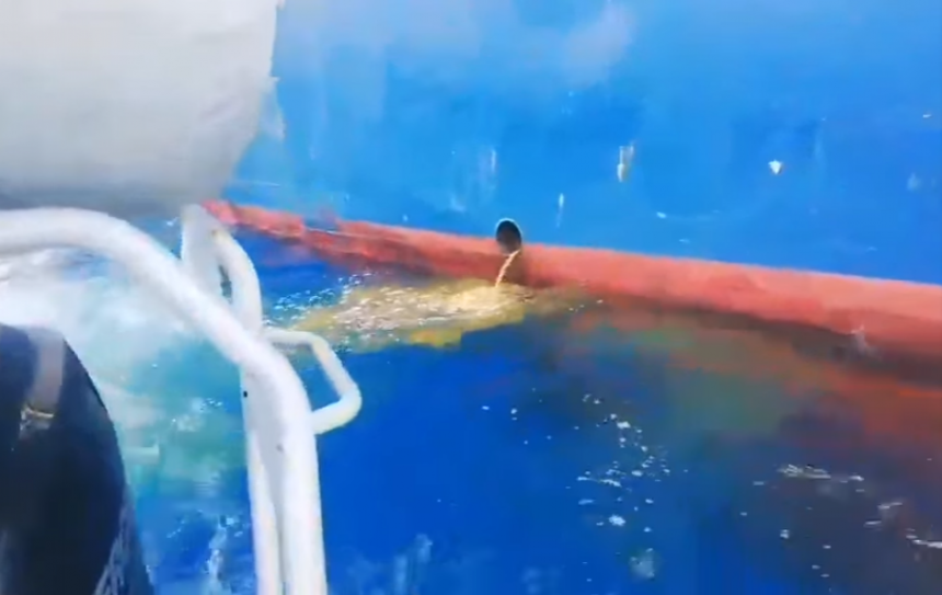 В акватории Лимассола зафиксирован сброс нечистот! (Фото и Видео): фото 3