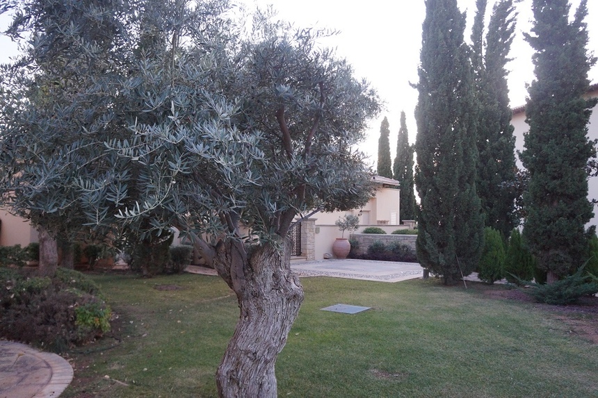 ТОП-5 мест для встречи Нового года на Кипре (часть II): фото 47