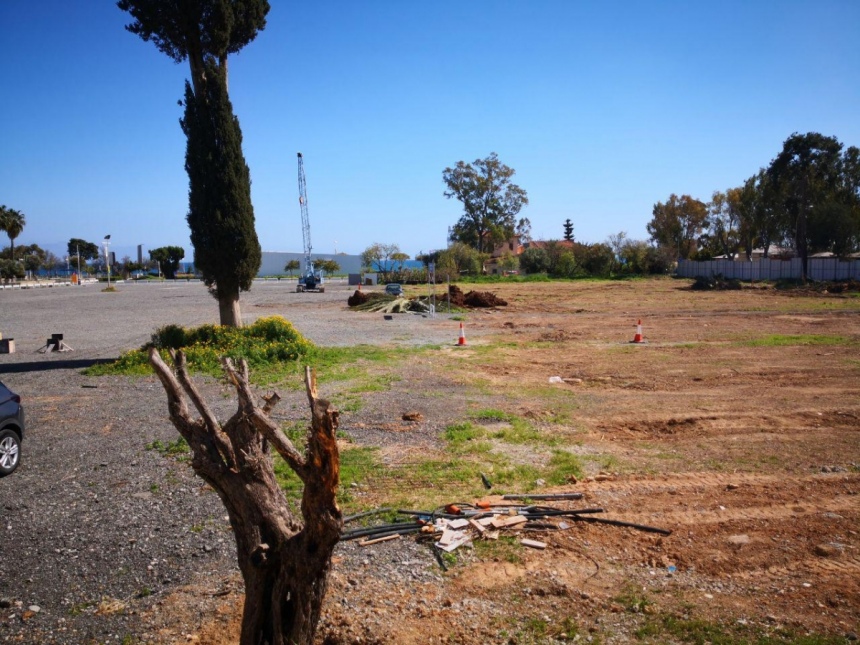 Строительство новой высотки в Лимассоле началось с вырубки оливковой рощи (Фото): фото 6