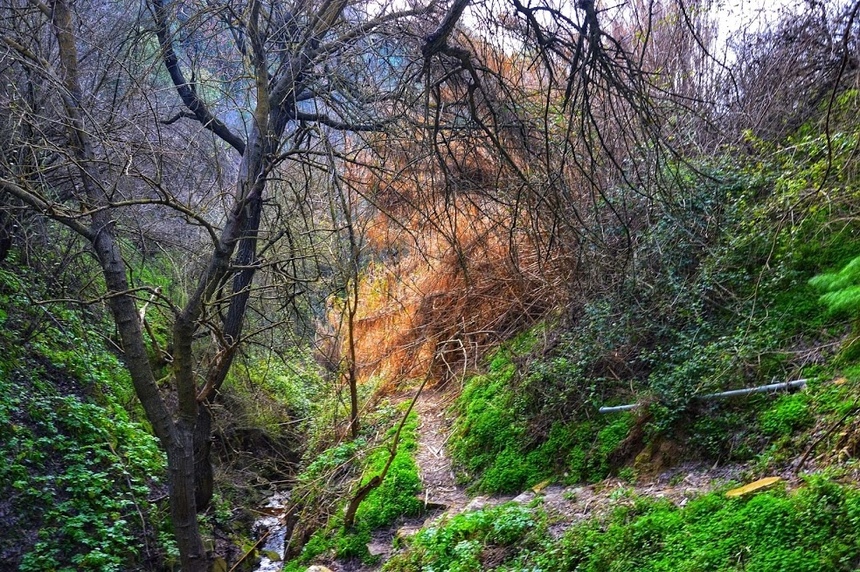 Путешествие по традиционным деревушкам Кипра. Хулу и секретный водопад. Часть 3: фото 87