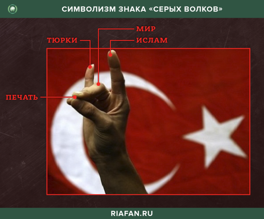 Турецкая экстремистская организация «Серые волки» и Кипр: фото 7