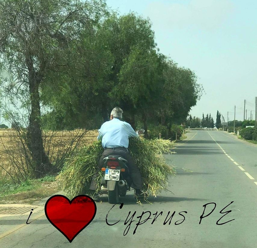 "Ехали медведи на велосипеде": Курьезные и странные случаи на кипрских дорогах! : фото 21