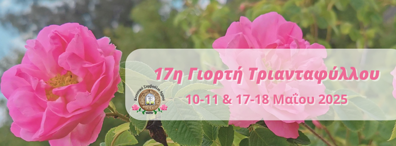Не пропустите ежегодный фестиваль роз в Агросе: фото 2 Не пропустите ежегодный фестиваль роз в Агросе: фото 2