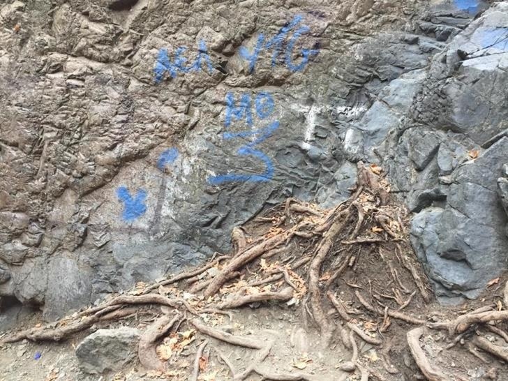 Неизвестные  хулиганы совершили акт вандализма у водопада Милломерис: фото 4