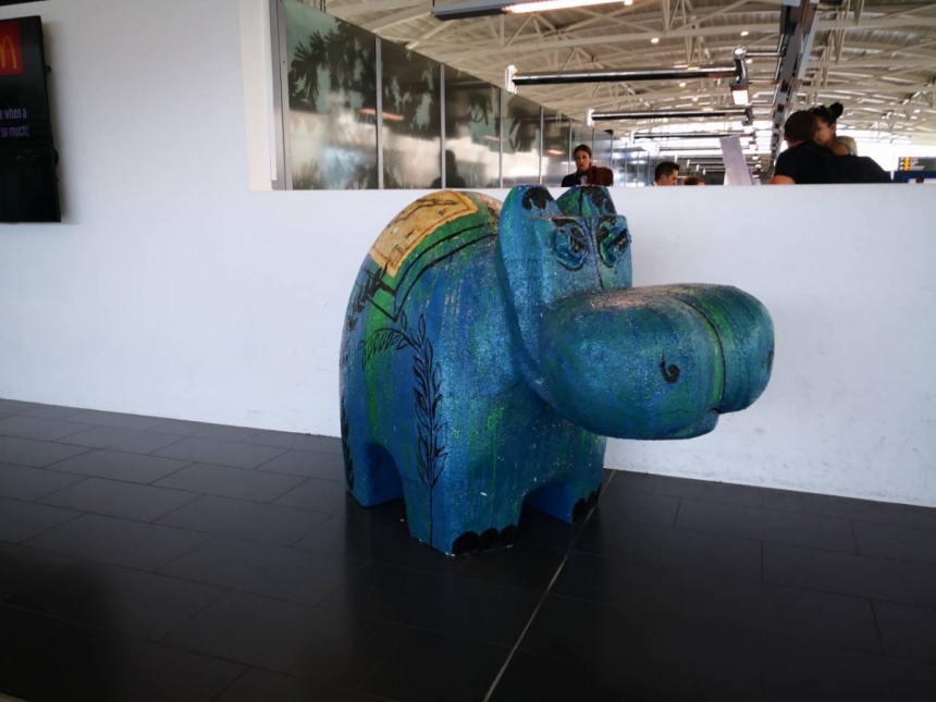 Акция «Let's Hippo together» переместилась в аэропорт Ларнаки: фото 4
