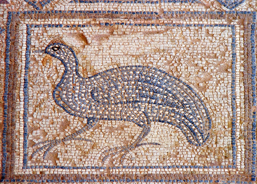 Мозаики древнего Куриона: Дом Евстолиоса в античном городе-госудастве на Кипре (Фото): фото 17