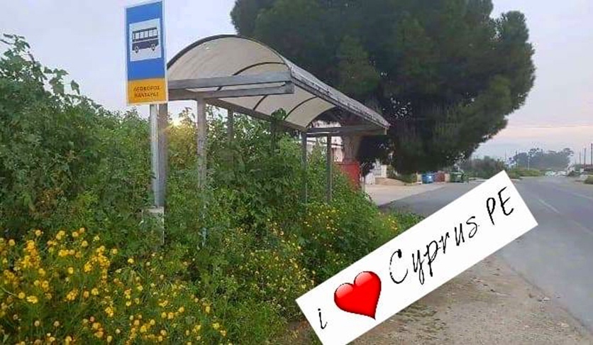 "Ехали медведи на велосипеде": Курьезные и странные случаи на кипрских дорогах! : фото 9