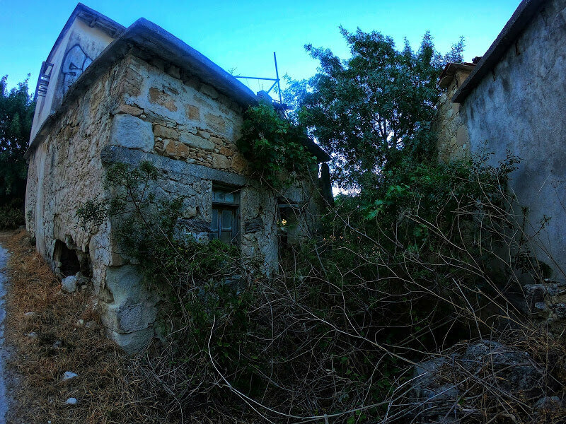 Разрушенный дом в старой Телетре поросший кустарником