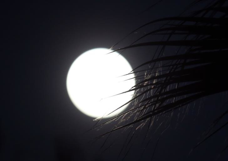 Ночью жители Кипра наблюдали Розовую Луну: фото 11