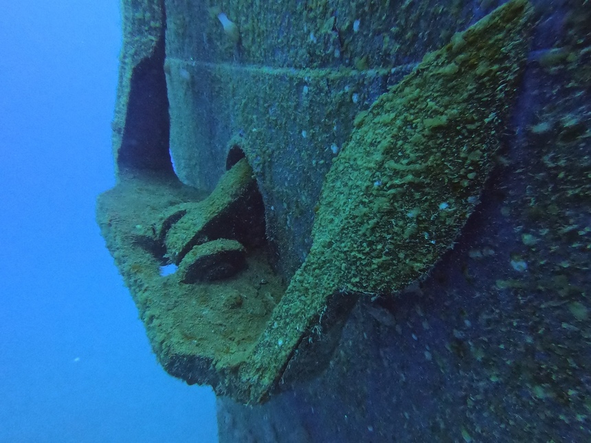 Проникаем в мир кипрских дайверов, пока они проникают в подводный мир: фото 9