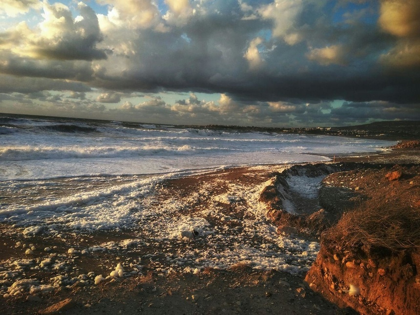 Кипрские пляжи украсил "Прибрежный капучино": фото 9