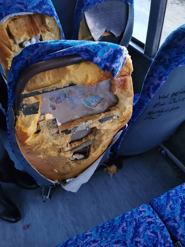 На Кипре в школьном автобусе выросли грибы : фото 4