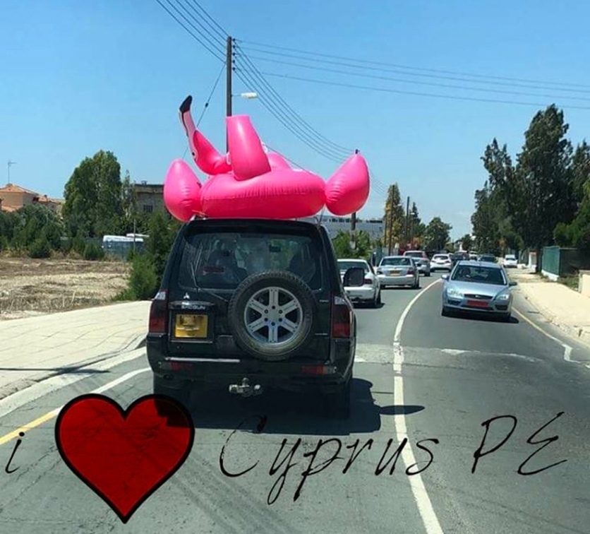 "Ехали медведи на велосипеде": Курьезные и странные случаи на кипрских дорогах! : фото 103