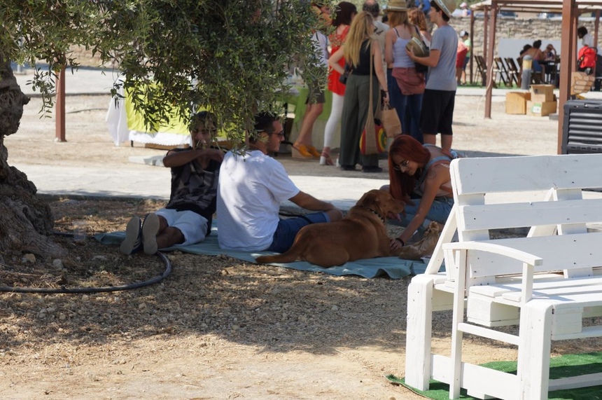 На Кипре прошел первый веганский фестиваль-Vegan Fam Festival: фото 62
