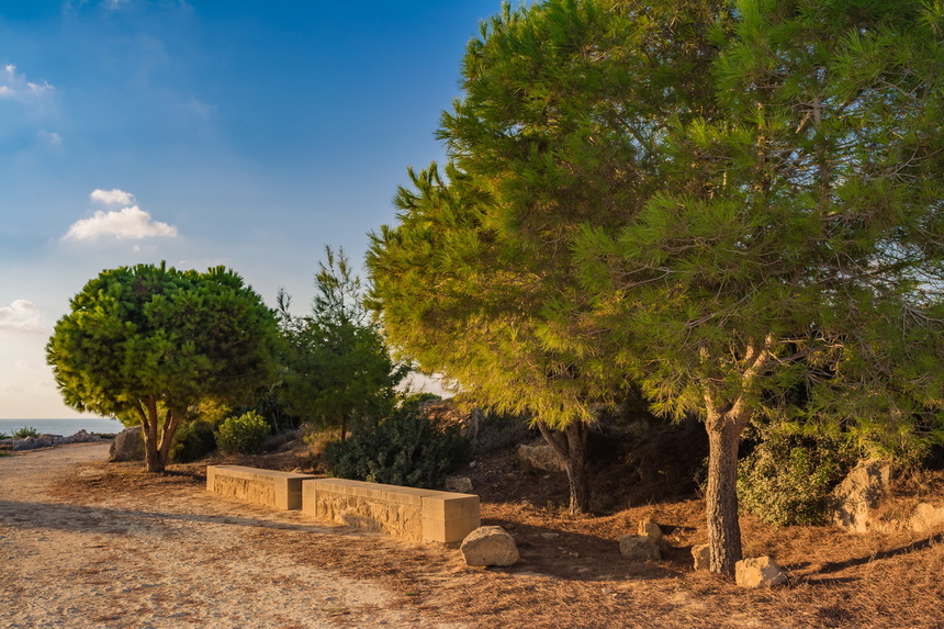 Гробницы Королей - одно из самых привлекательных мест в Пафосе: фото 3