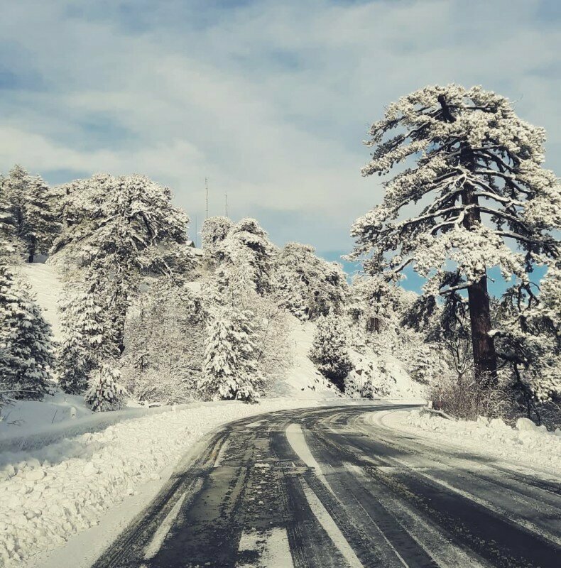 Троодос завалило 22-сантиметровым слоем снега: фото 3