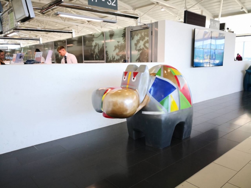 Акция «Let's Hippo together» переместилась в аэропорт Ларнаки: фото 7