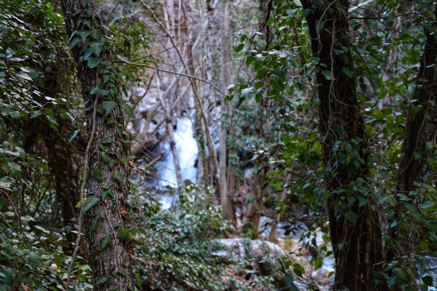 Путешествие до водопада Каледония на Кипре: фото 64