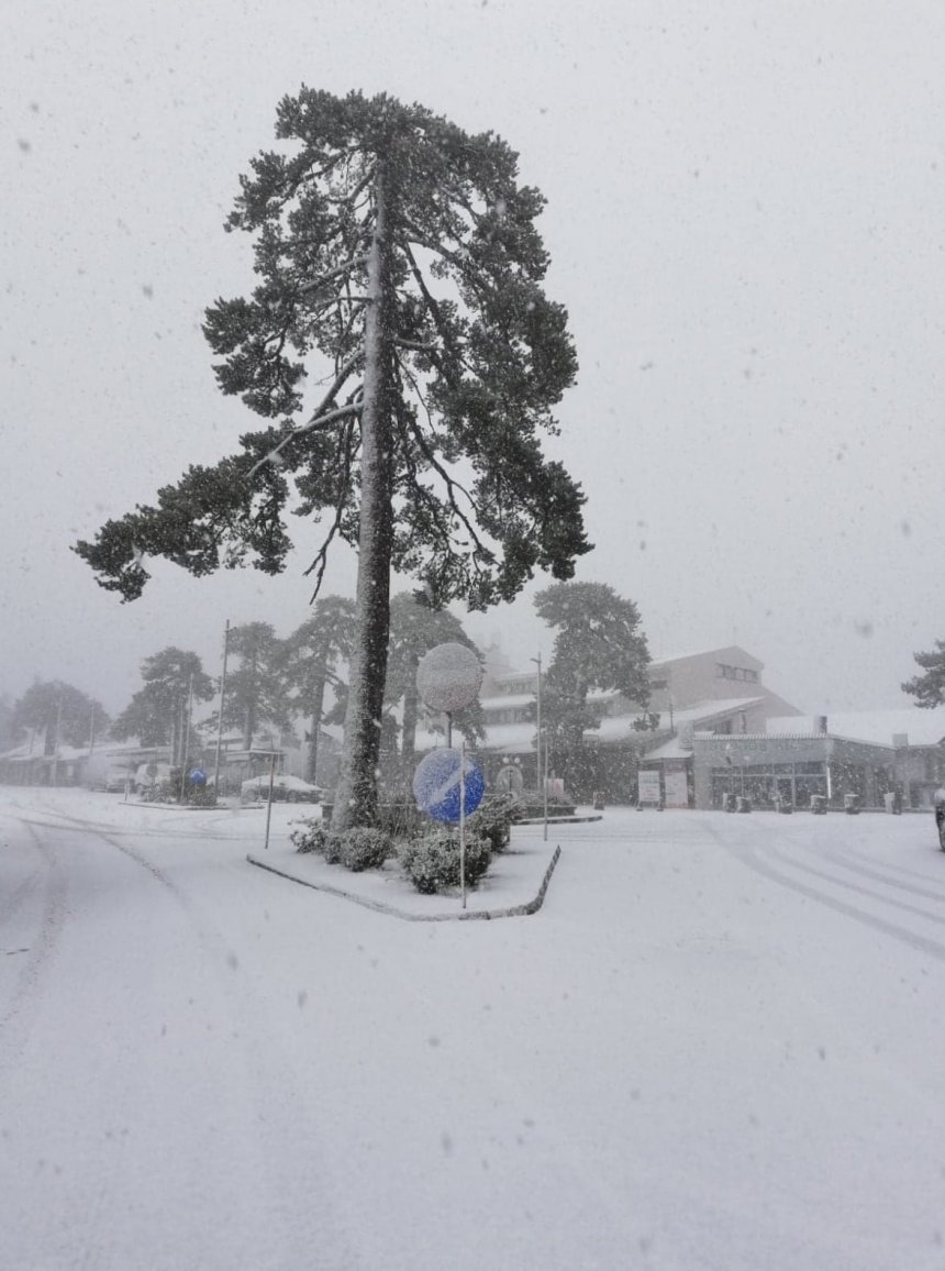 Ура! В Троодосе выпал снег: фото 10