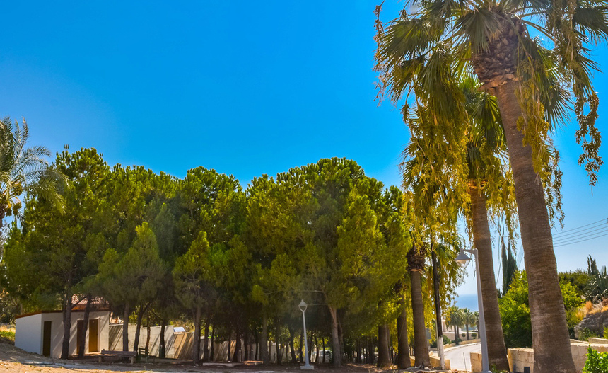 Отдых в тени кипрской сосны: парк с красочной детской площадкой в деревне Куклия на Кипре: фото 2