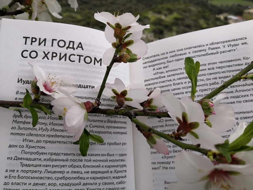 Может ли православная литература быть захватывающей и причем тут Кипр? : фото 5