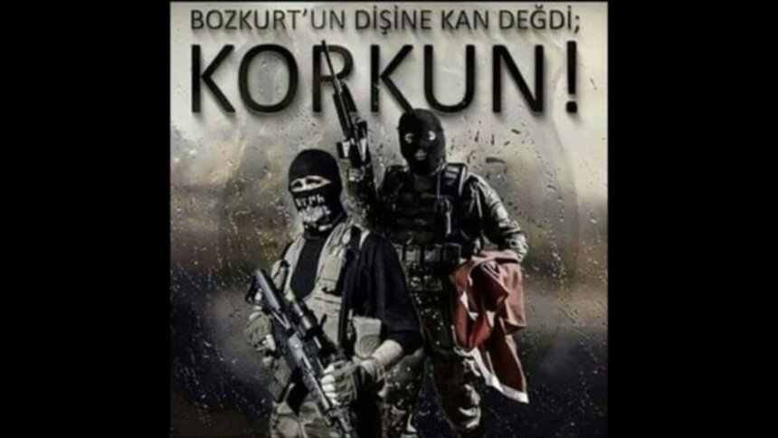 Турецкая экстремистская организация «Серые волки» и Кипр: фото 20