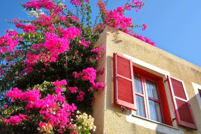 Топ-5 отелей Кипра с настоящей атмосферой весны: фото 2