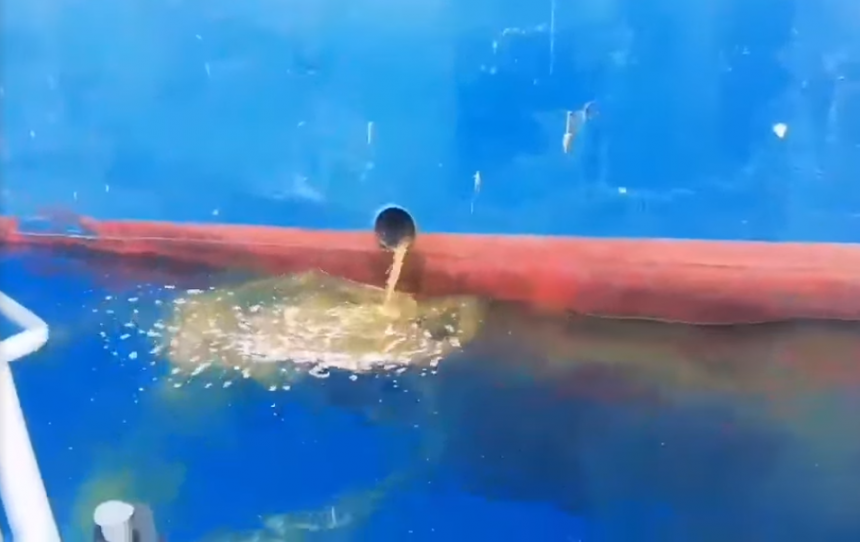 В акватории Лимассола зафиксирован сброс нечистот! (Фото и Видео): фото 2