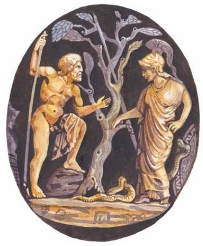 Легенды Кипра. Оливковое дерево.: фото 3