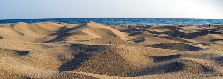 Кипрские черепашки вернулись на пляжи Лимни. Но не все этому рады: фото 2