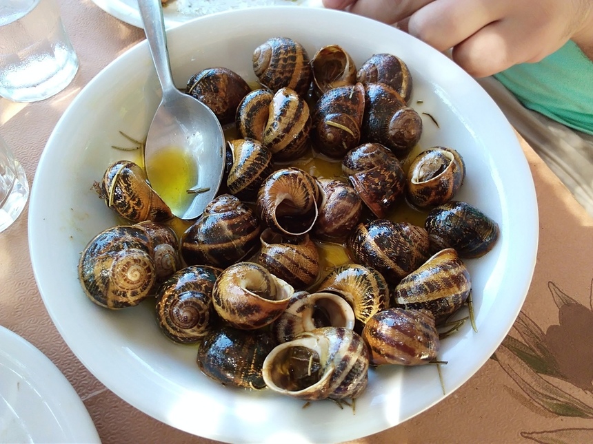 Даже не уговаривайте: топ-5 самых необычных блюд Кипра: фото 8