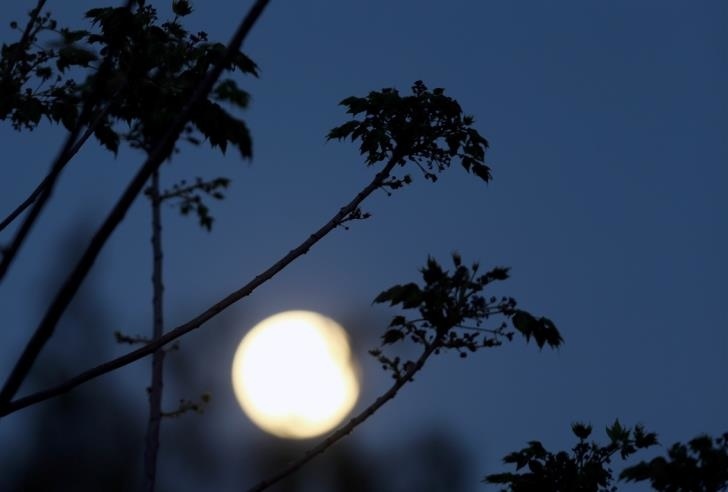 Ночью жители Кипра наблюдали Розовую Луну: фото 10